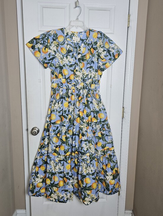 Anthropologie Dresses & Skirts - Anthropologie Somerset Blue Tiered Lemon Maxi Dress Size Large Pockets Smocked